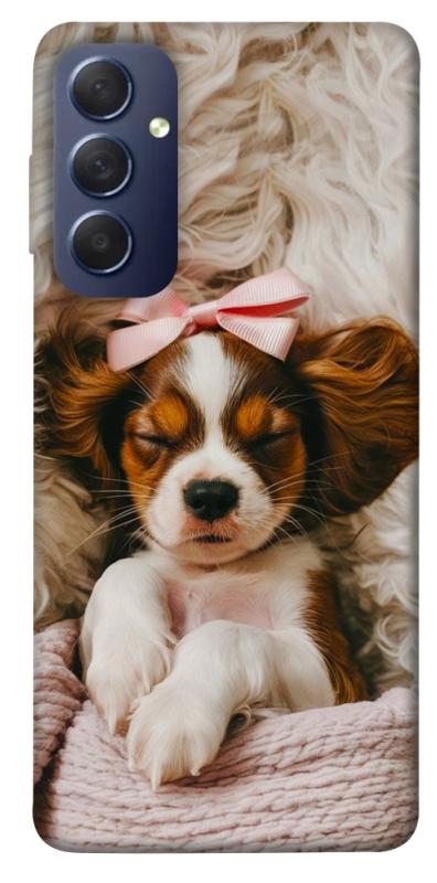 Чохол itsPrint Sleepy spaniel для Samsung Galaxy M54 5G, песики, купити оптом з доставкою
