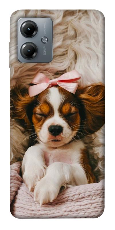 Чохол itsPrint Sleepy spaniel для Motorola Moto G14, песики, купити оптом з доставкою