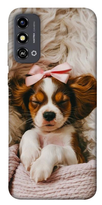 Чохол itsPrint Sleepy spaniel для ZTE Blade A53, песики, купити оптом з доставкою
