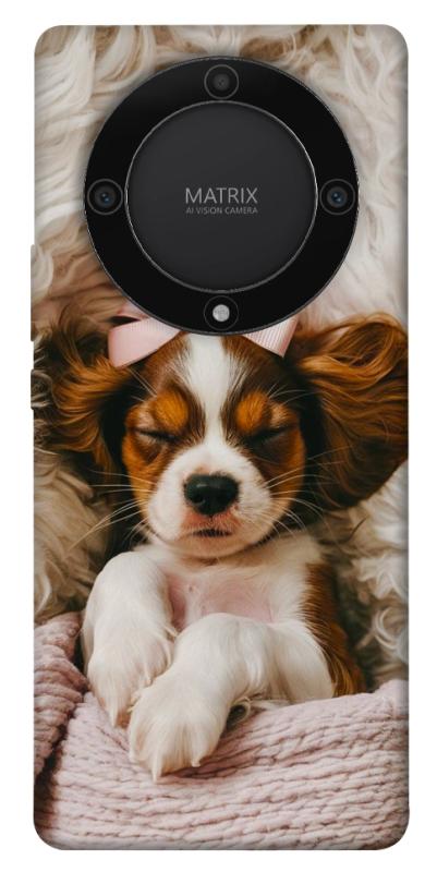 Чохол itsPrint Sleepy spaniel для Huawei Magic5 Lite, песики, купити оптом з доставкою