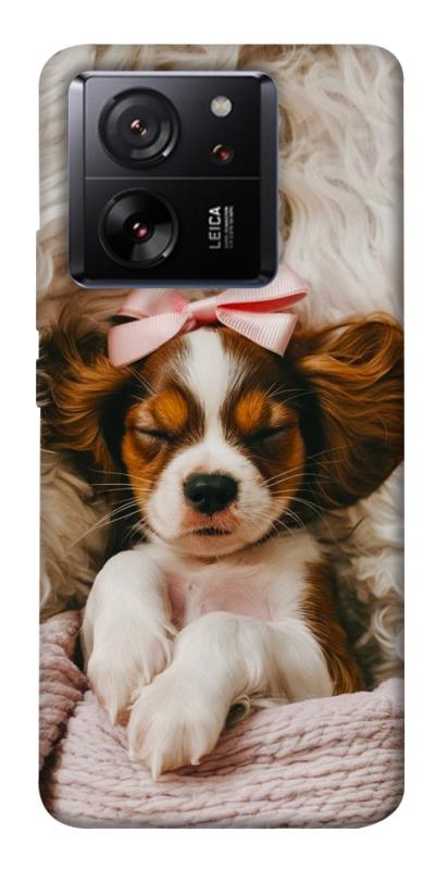 Чохол itsPrint Sleepy spaniel для Xiaomi 13T, песики, купити оптом з доставкою