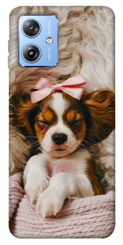 Чехол itsPrint Sleepy spaniel для Motorola Moto G84, песики, купить оптом с доставкой
