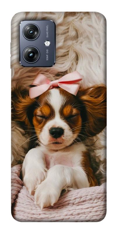 Чохол itsPrint Sleepy spaniel для Motorola Moto G54, песики, купити оптом з доставкою