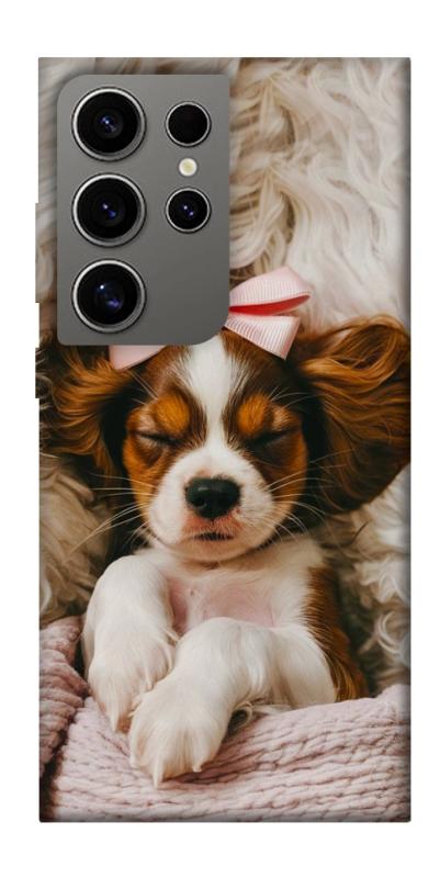 Чохол itsPrint Sleepy spaniel для Samsung Galaxy S24 Ultra, песики, купити оптом з доставкою