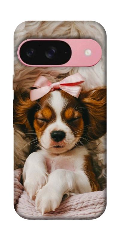 Чохол itsPrint Sleepy spaniel для Google Pixel 9, песики, купити оптом з доставкою