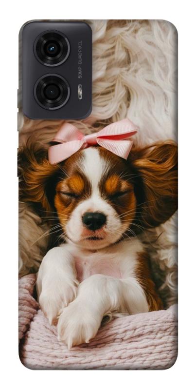 Чохол itsPrint Sleepy spaniel для Motorola Moto G24, песики, купити оптом з доставкою