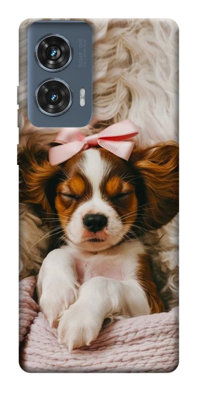 Чехол itsPrint Sleepy spaniel для Motorola Edge 50 Fusion, песики, купить оптом с доставкой