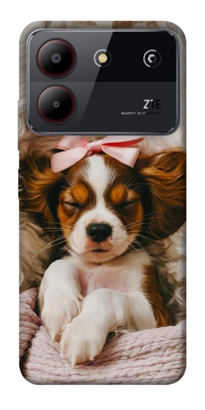 Чохол itsPrint Sleepy spaniel для ZTE Blade A54 4G, песики, купити оптом з доставкою