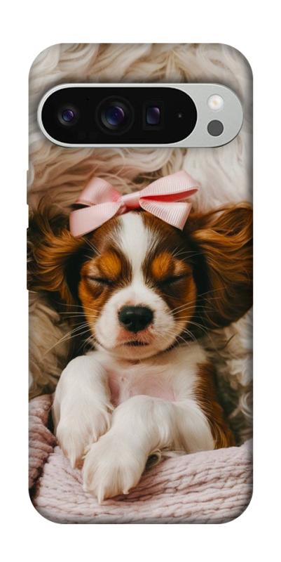 Чохол itsPrint Sleepy spaniel для Google Pixel 9 Pro XL, песики, купити оптом з доставкою