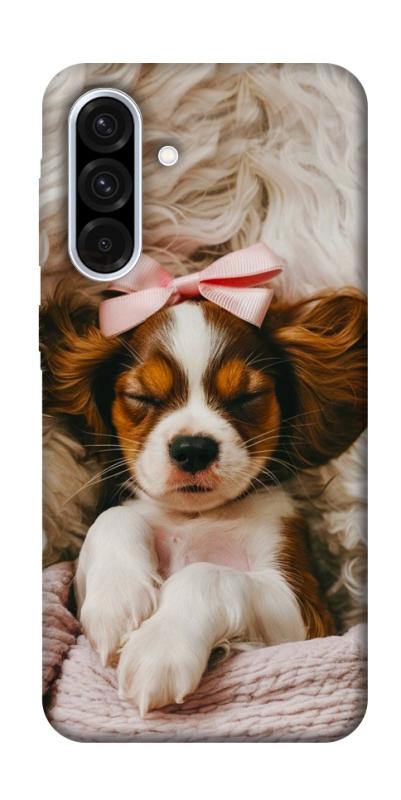 Чохол itsPrint Sleepy spaniel для Samsung Galaxy A36 5G, песики, купити оптом з доставкою