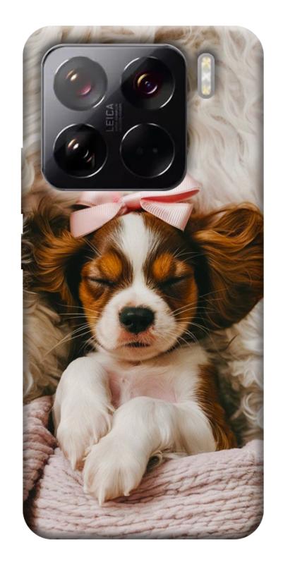 Чехол itsPrint Sleepy spaniel для Xiaomi 15 Pro, песики, купить оптом с доставкой