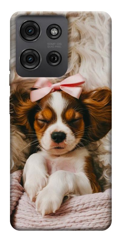 Чохол itsPrint Sleepy spaniel для Motorola Moto G75 5G, песики, купити оптом з доставкою
