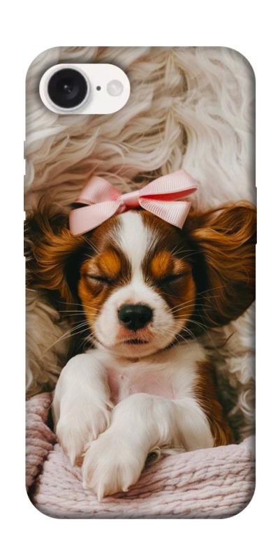 Чехол itsPrint Sleepy spaniel для Apple iPhone 16e (6.1"), песики, купить оптом с доставкой