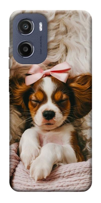 Чехол itsPrint Sleepy spaniel для Motorola Moto G05, песики, купить оптом с доставкой