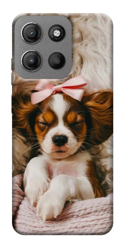 Чехол itsPrint Sleepy spaniel для Motorola Moto G15 4G, песики, купить оптом с доставкой
