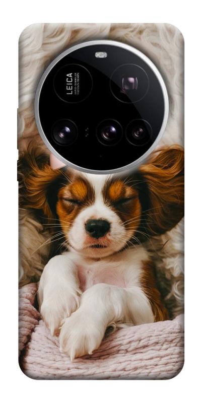 Чохол itsPrint Sleepy spaniel для Xiaomi 15 Ultra, песики, купити оптом з доставкою