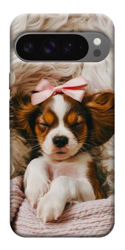 Чехол itsPrint Sleepy spaniel для Google Pixel 10 Pro XL, песики, купить оптом с доставкой