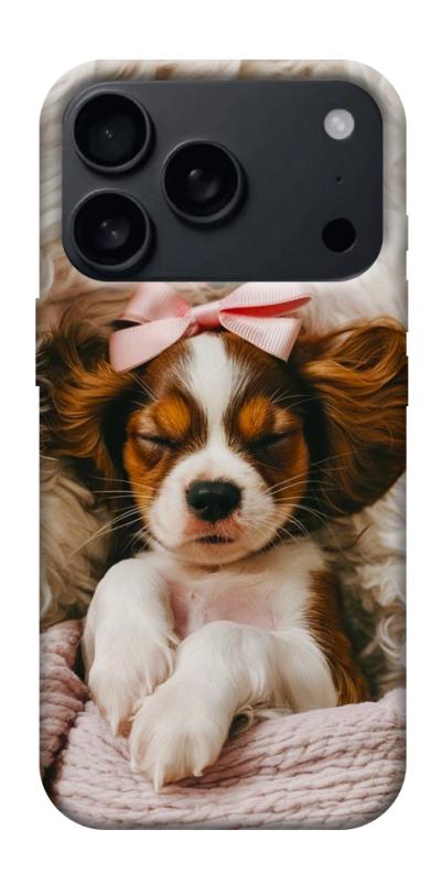 Чехол itsPrint Sleepy spaniel для Apple iPhone 17 Pro Max (6.9"), песики, купить оптом с доставкой