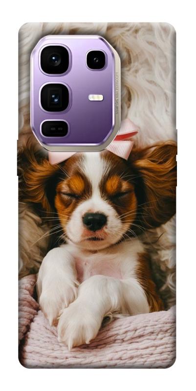 Чохол itsPrint Sleepy spaniel для Infinix Note 50 Pro+, песики, купити оптом з доставкою