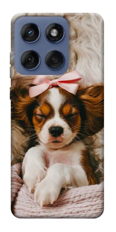 Чехол itsPrint Sleepy spaniel для Motorola Edge 60 Fusion, песики, купить оптом с доставкой