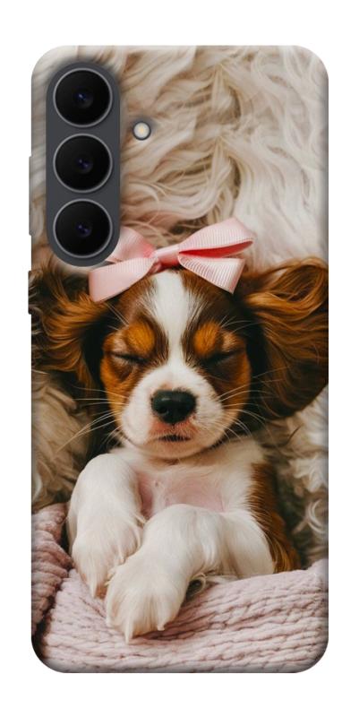 Чехол itsPrint Sleepy spaniel для Samsung Galaxy S25 FE, песики, купить оптом с доставкой
