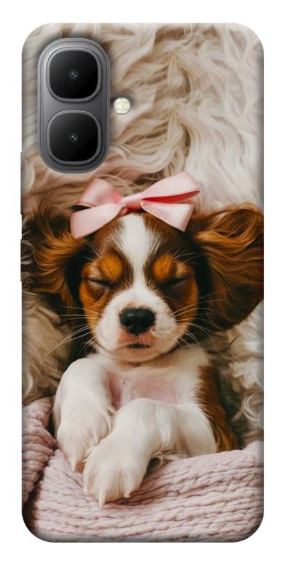 Чохол itsPrint Sleepy spaniel для Infinix Smart 10, песики, купити оптом з доставкою