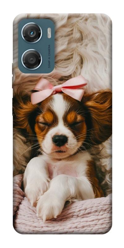 Чехол itsPrint Sleepy spaniel для Motorola Moto G06, песики, купить оптом с доставкой