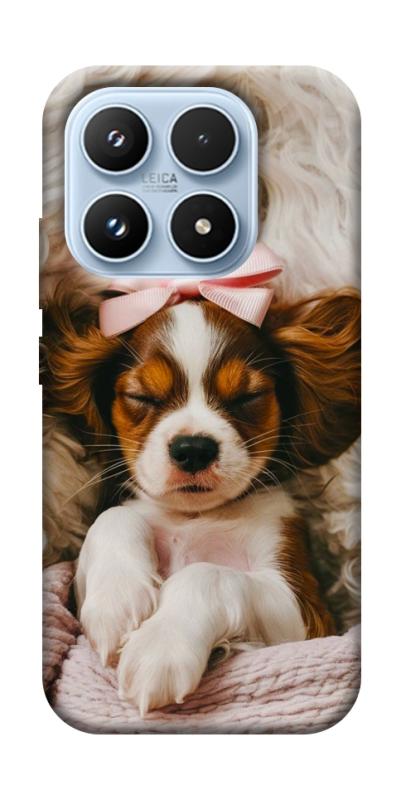 Чехол itsPrint Sleepy spaniel для Xiaomi 17 Pro, песики, купить оптом с доставкой