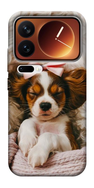 Чехол itsPrint Sleepy spaniel для Xiaomi 17 Pro Max, песики, купить оптом с доставкой