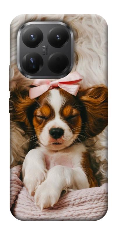 Чехол itsPrint Sleepy spaniel для Xiaomi 15T Pro, песики, купить оптом с доставкой
