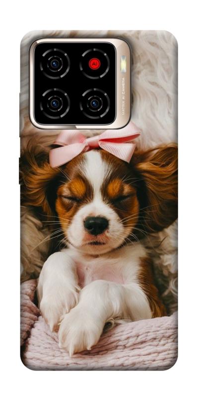 Чехол itsPrint Sleepy spaniel для ZTE Blade A56, песики, купить оптом с доставкой