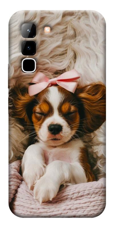 Чехол itsPrint Sleepy spaniel для Infinix Hot 70, песики, купить оптом с доставкой