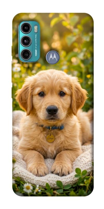 Чохол itsPrint Small labradore для Motorola Moto G60, песики, купити оптом з доставкою