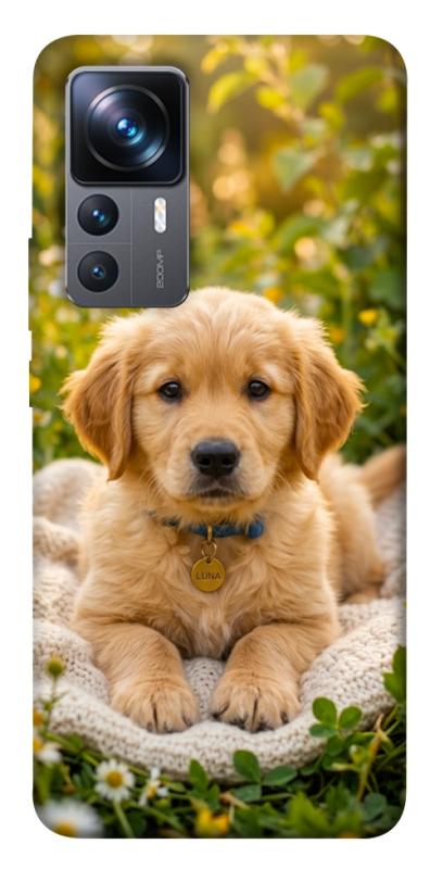 Чохол itsPrint Small labradore для Xiaomi 12T / 12T Pro, песики, купити оптом з доставкою