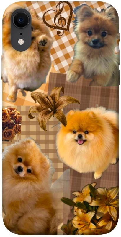 Чохол itsPrint Spitz aethtetic для Apple iPhone XR (6.1"), песики, купити оптом з доставкою