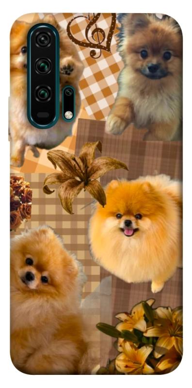 Чохол itsPrint Spitz aethtetic для Huawei Honor 20 Pro, песики, купити оптом з доставкою