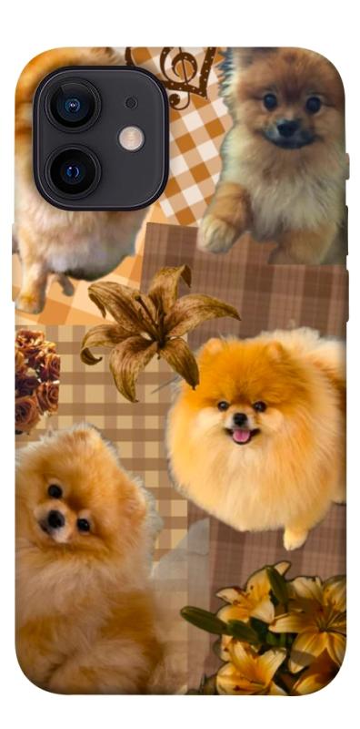 Чохол itsPrint Spitz aethtetic для Apple iPhone 12 mini (5.4"), песики, купити оптом з доставкою