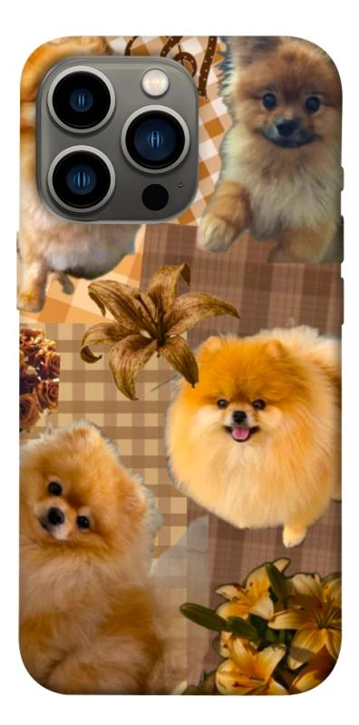 Чохол itsPrint Spitz aethtetic для Apple iPhone 13 Pro (6.1"), песики, купити оптом з доставкою