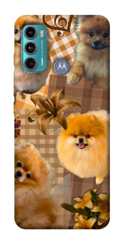 Чохол itsPrint Spitz aethtetic для Motorola Moto G60, песики, купити оптом з доставкою