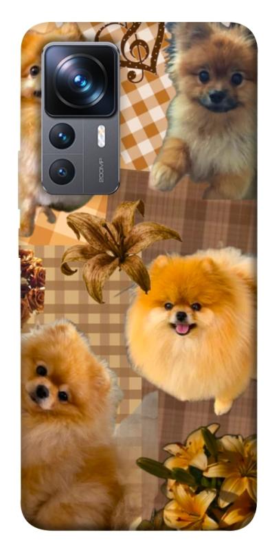 Чехол itsPrint Spitz aethtetic для Xiaomi 12T / 12T Pro, песики, купить оптом с доставкой