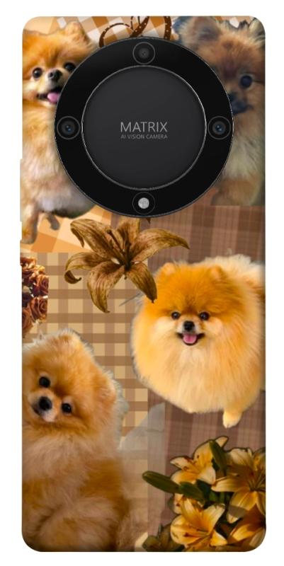 Чохол itsPrint Spitz aethtetic для Huawei Magic5 Lite, песики, купити оптом з доставкою