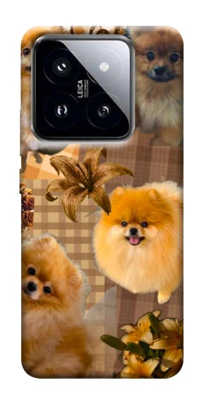 Чохол itsPrint Spitz aethtetic для Xiaomi 14 Pro, песики, купити оптом з доставкою