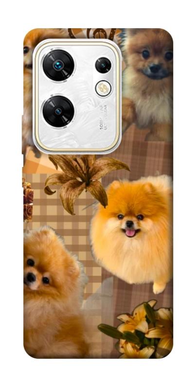 Чохол itsPrint Spitz aethtetic для Infinix Zero 30 4G, песики, купити оптом з доставкою