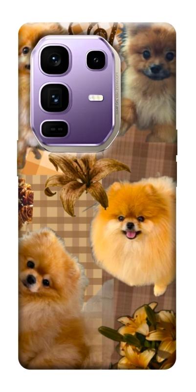 Чохол itsPrint Spitz aethtetic для Infinix Note 50 Pro+, песики, купити оптом з доставкою