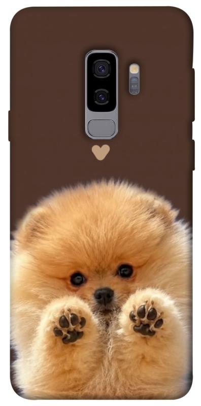 Чехол itsPrint Spitz on the screen для Samsung Galaxy S9+, песики, купить оптом с доставкой