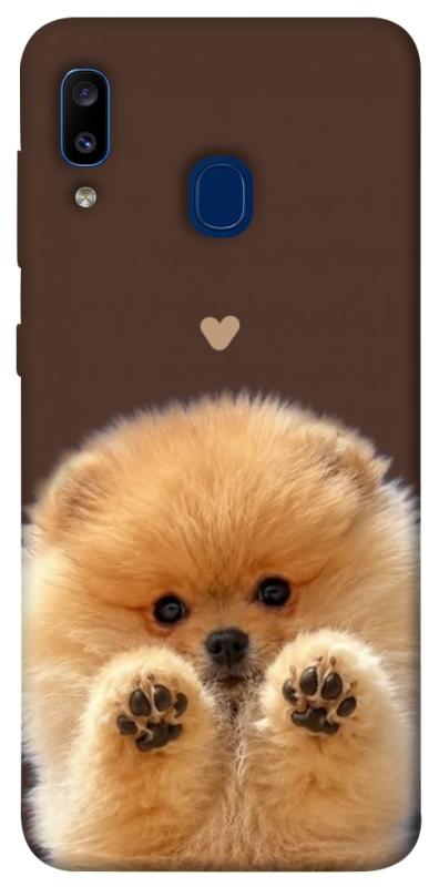Чохол itsPrint Spitz on the screen для Samsung Galaxy A20 / A30, песики, купити оптом з доставкою