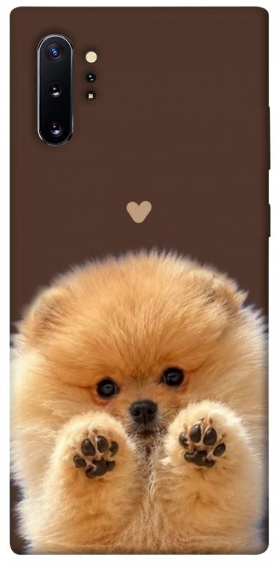 Чохол itsPrint Spitz on the screen для Samsung Galaxy Note 10 Plus, песики, купити оптом з доставкою