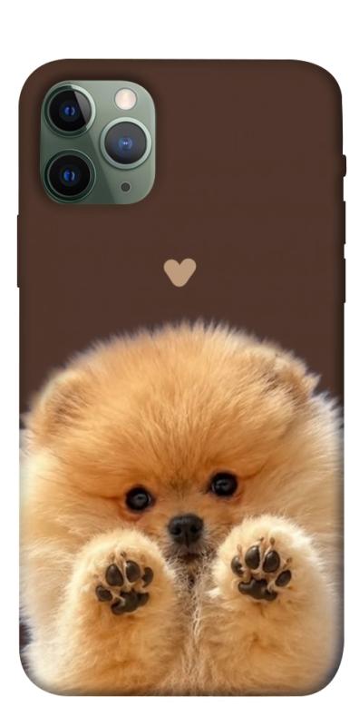 Чохол itsPrint Spitz on the screen для Apple iPhone 11 Pro (5.8"), песики, купити оптом з доставкою
