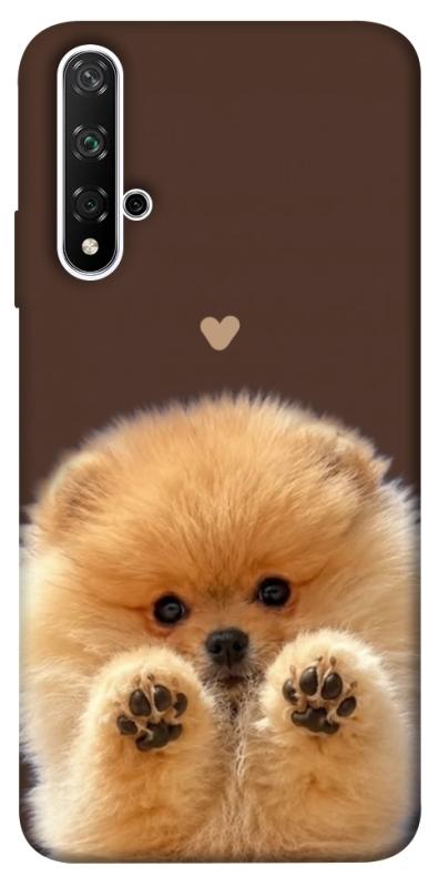 Чохол itsPrint Spitz on the screen для Huawei Honor 20 / Nova 5T, песики, купити оптом з доставкою