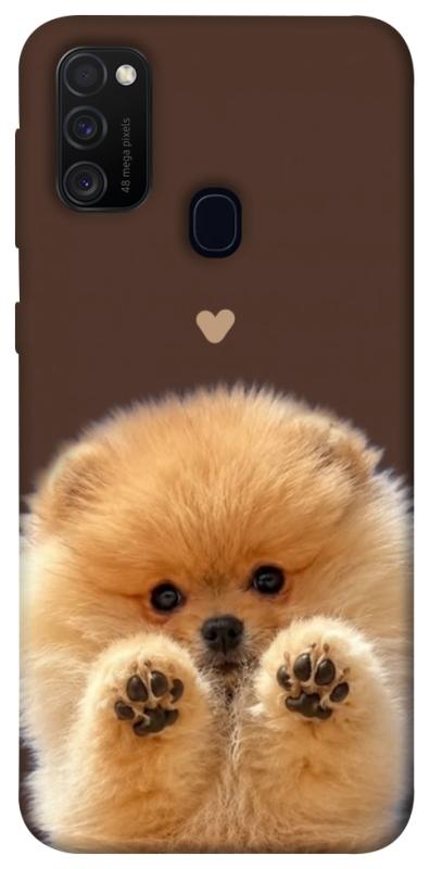 Чехол itsPrint Spitz on the screen для Samsung Galaxy M30s / M21, песики, купить оптом с доставкой
